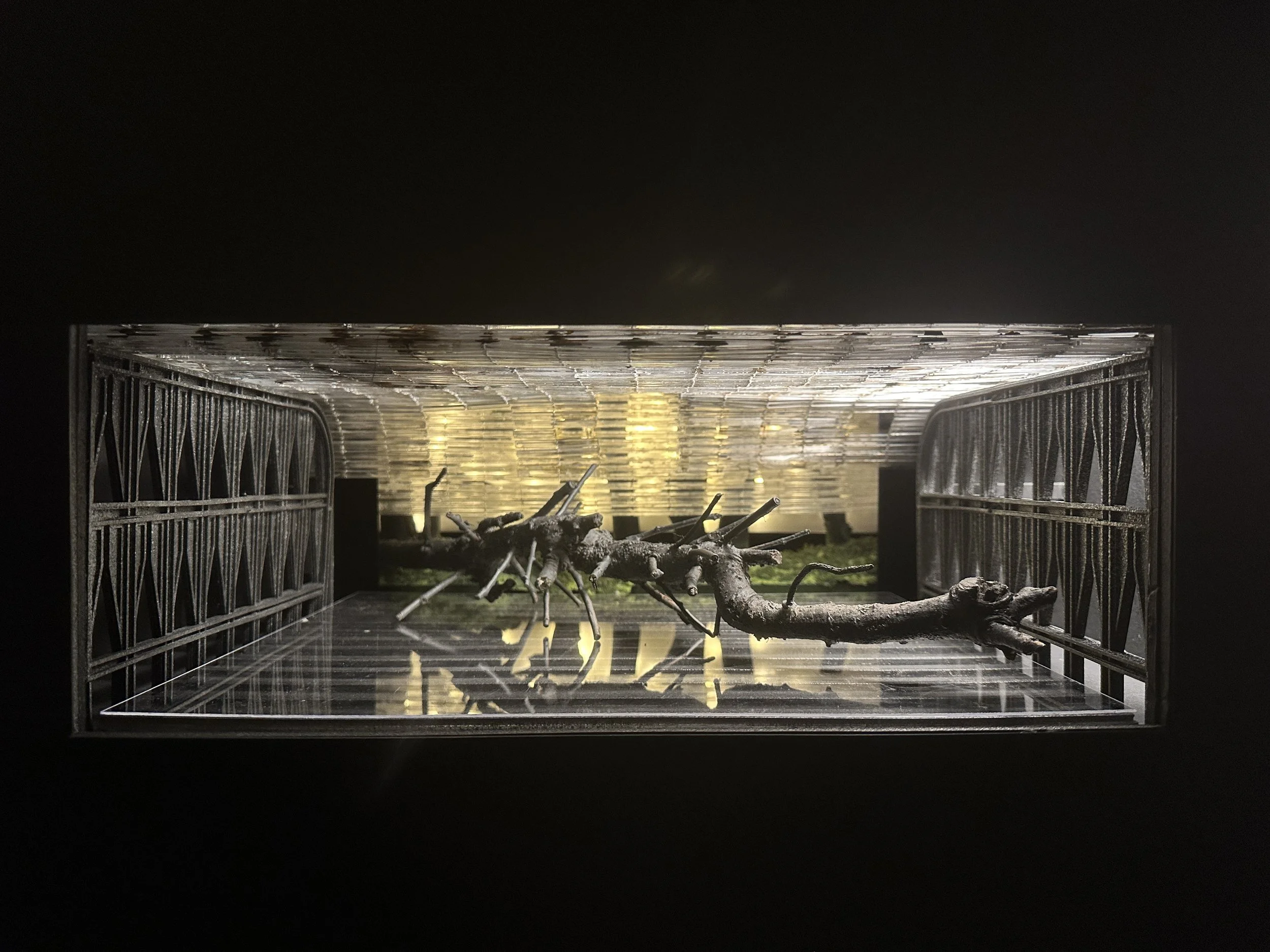 Theoretical Design — Forest Entsminger Scenic Design